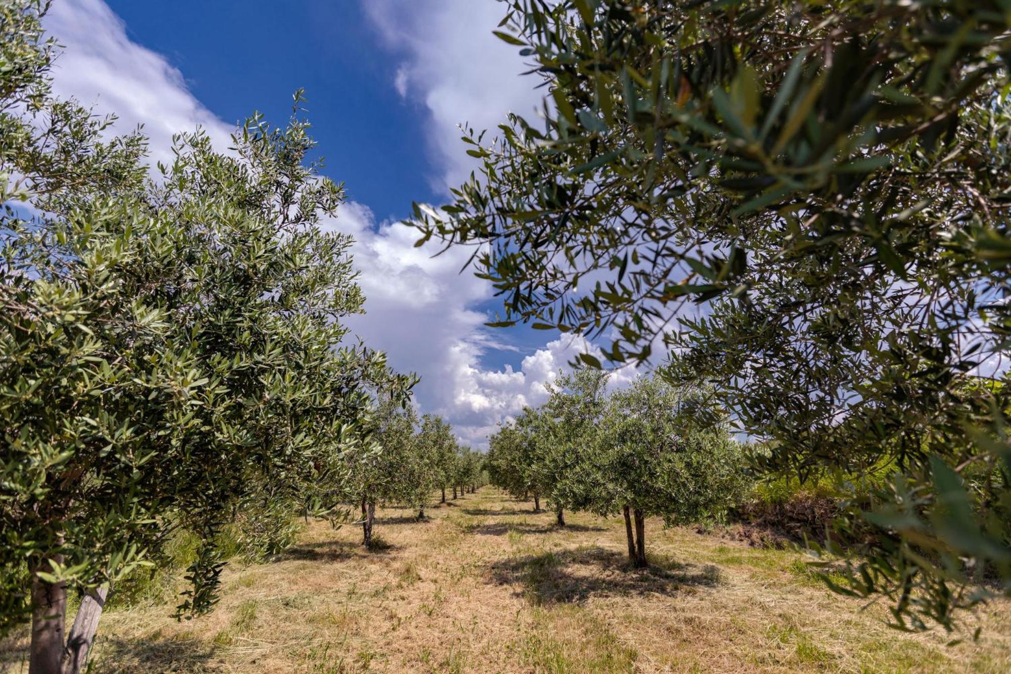 Appartamento Apartma Valentina Pobegi Esterno foto